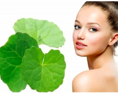 Ghim ngay tuyệt chiêu làm đẹp bằng rau má cải thiện độ ẩm và chống già cho làn da