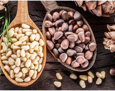 Loại hạt bổ thận, bổ phổi, dưỡng đại tràng, giúp tinh thần sảng khoái