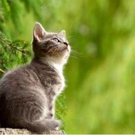 Tháng 7 âm: 4 tuổi bùng nổ vận may, nhân đôi tài lộc, dễ thành tỷ phú