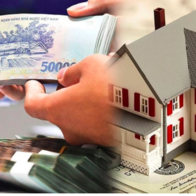 Từng mua hai căn nhà cũ ở thành phố với giá hơn 2 tỷ, hiện đã 32 tỷ đồng: Tôi ung dung nghỉ hưu!