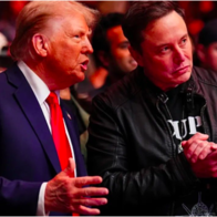 Hé lộ 10 cổ phiếu “nhận quà" khủng nhất kể từ khi ông Trump đắc cử: Công ty của "Bộ trưởng" Musk trúng quả lớn nhờ một nhân tố át chủ bài