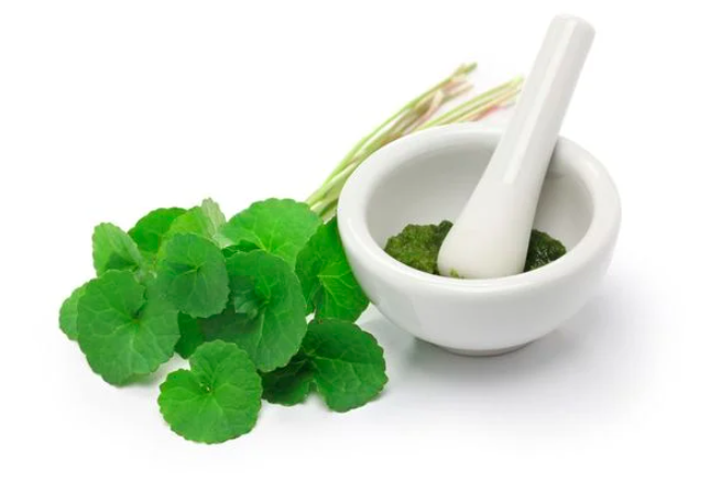 Ghim ngay tuyệt chiêu làm đẹp bằng rau má cải thiện độ ẩm và chống già cho làn da