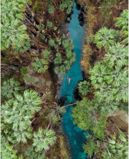 Thiên đường giữa rừng hút khách ở Australia