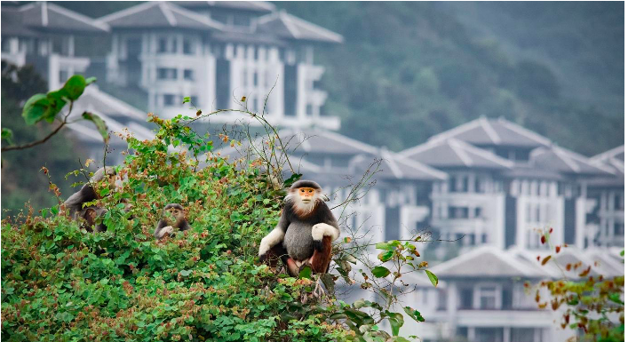 Tận hưởng mùa lễ hội rực rỡ tại những khách sạn và khu nghỉ dưỡng ấn tượng nhất châu Á